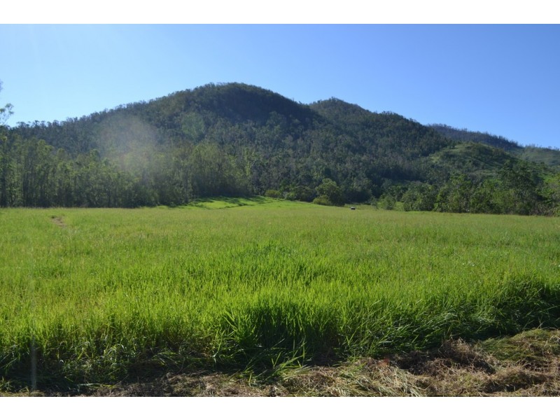 Lot 197 Monaghan Road, Palm Grove QLD 4800