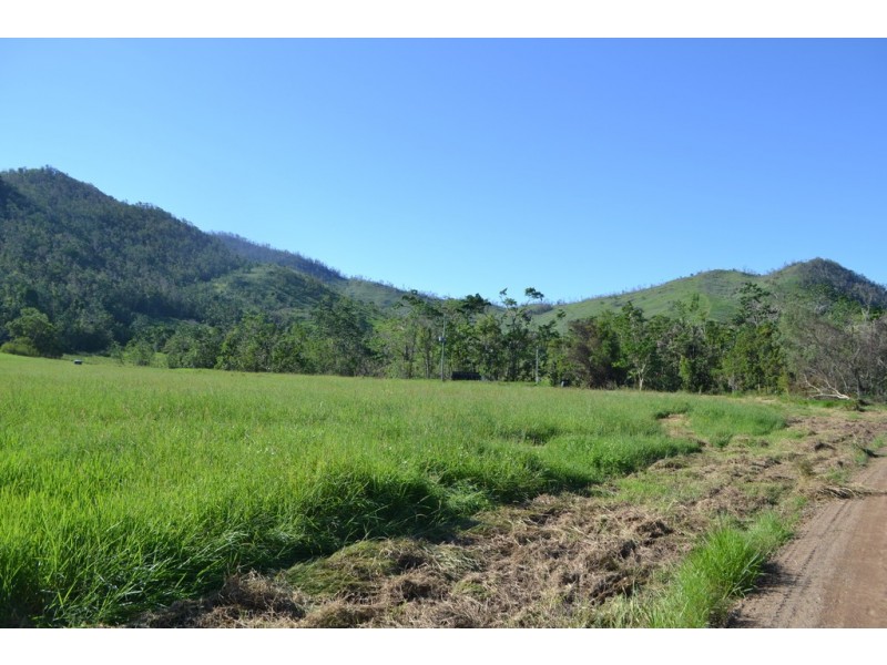 Lot 197 Monaghan Road, Palm Grove QLD 4800