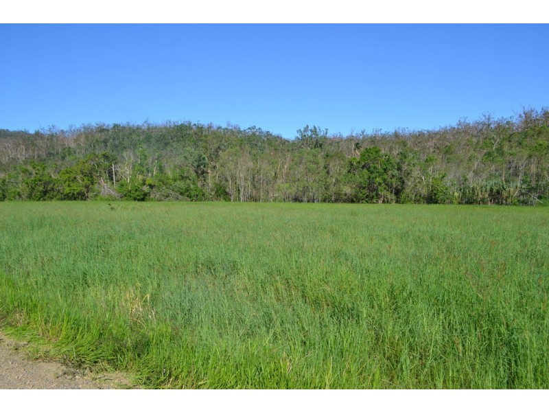 Lot 197 Monaghan Road, Palm Grove QLD 4800