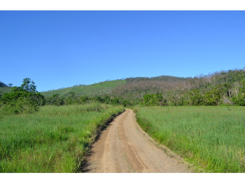 Lot 197 Monaghan Road, Palm Grove QLD 4800