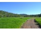Lot 197 Monaghan Road, Palm Grove QLD 4800