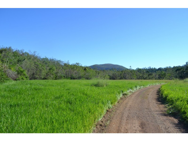 Lot 197 Monaghan Road, Palm Grove QLD 4800