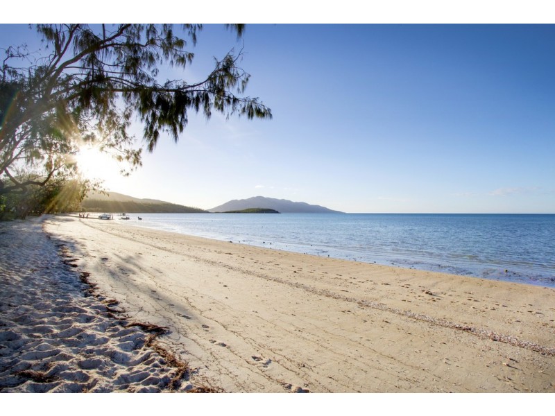 38 Pioneer Drive, Dingo Beach QLD 4800