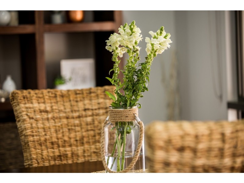 10 Remington Close, Mount Marlow QLD 4800