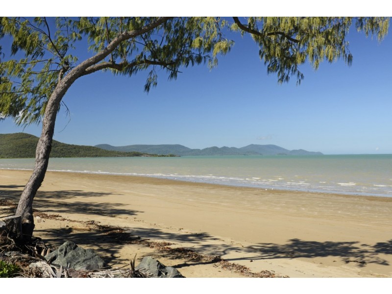 20 Ti Tree Avenue, Conway Beach QLD 4800