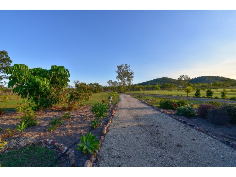 1405 Midge Point Road, Midge Point QLD 4799