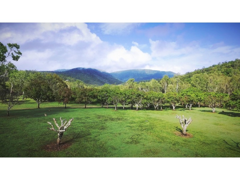 Lot 602 / 47 Pringle Road, Woodwark QLD 4802
