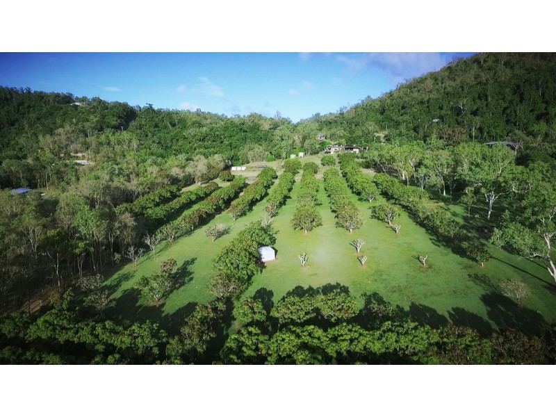 Lot 602 / 47 Pringle Road, Woodwark QLD 4802