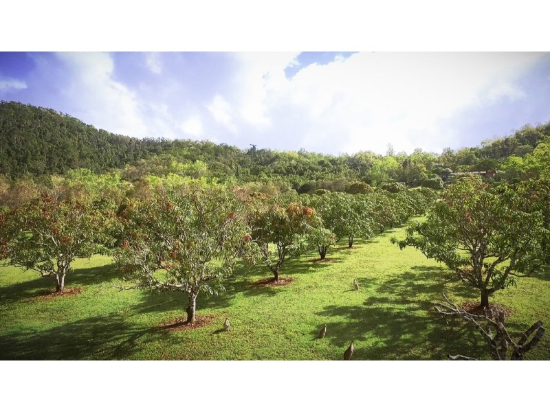 Lot 602 / 47 Pringle Road, Woodwark QLD 4802