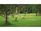 Lot 602 / 47 Pringle Road, Woodwark QLD 4802