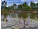 Lot 42 Hideaway Bay Drive, Hideaway Bay QLD 4800