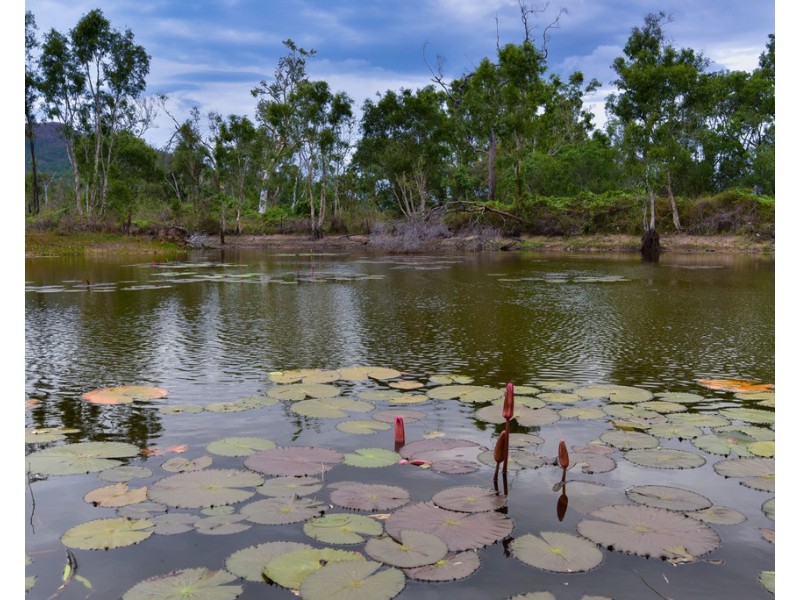 Lot 42 Hideaway Bay Drive, Hideaway Bay QLD 4800
