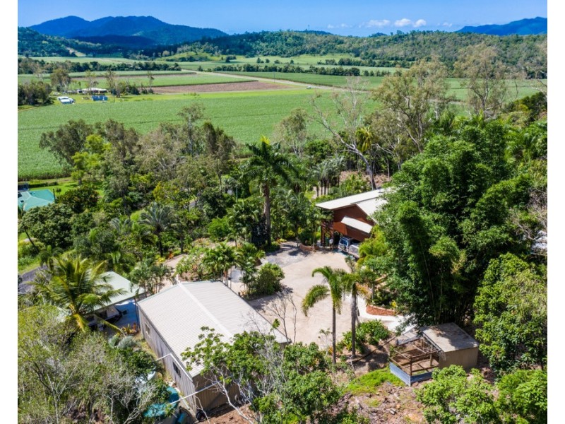 29 Camille Drive, Strathdickie QLD 4800