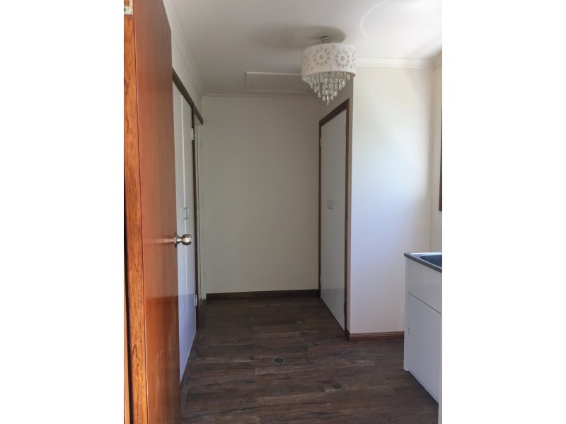 3 Aniwa Court, Jubilee Pocket QLD 4802