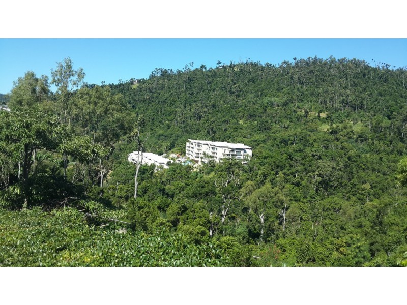 31 Seaview Drive, Airlie Beach QLD 4802