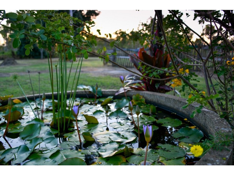 46 Doughertys Road, Bloomsbury QLD 4799