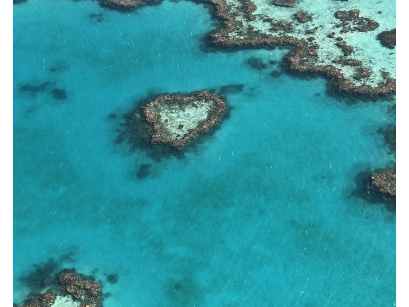 Lot 13, 12 Air Whitsunday Road, Flametree QLD 4802