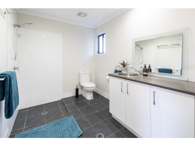 429 Riordanvale Road, Riordanvale QLD 4800
