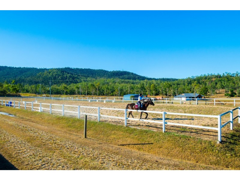 429 Riordanvale Road, Riordanvale QLD 4800
