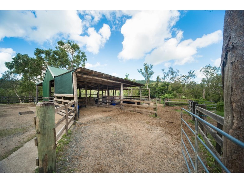 93 Bonnie Springs Road, Myrtlevale QLD 4800