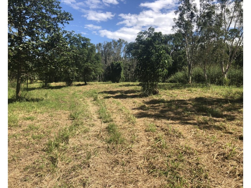 Lot 1 Saltwater Creek Road, Palm Grove QLD 4800