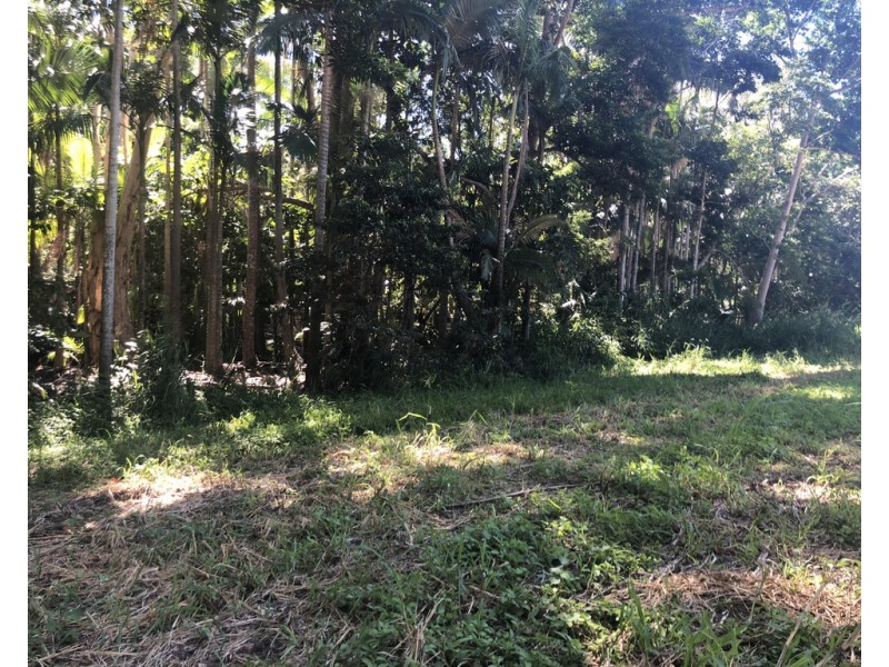 Lot 1 Saltwater Creek Road, Palm Grove QLD 4800