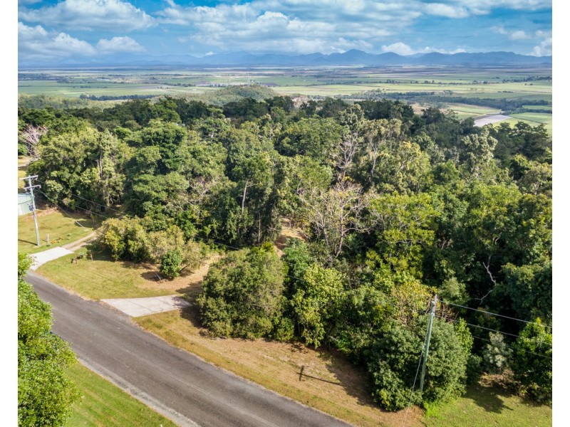 Lot 198 Camille Drive, Strathdickie QLD 4800