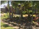 39 Twin Creek Court, Cannonvale QLD 4802