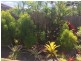 39 Twin Creek Court, Cannonvale QLD 4802