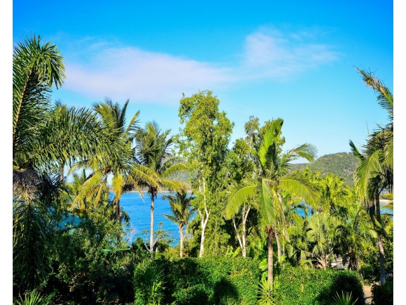 23 Melaleuca Drive “The Palms”, Hamilton Island QLD 4803