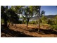 Lot 123 Parkland Drive, Woodwark QLD 4802