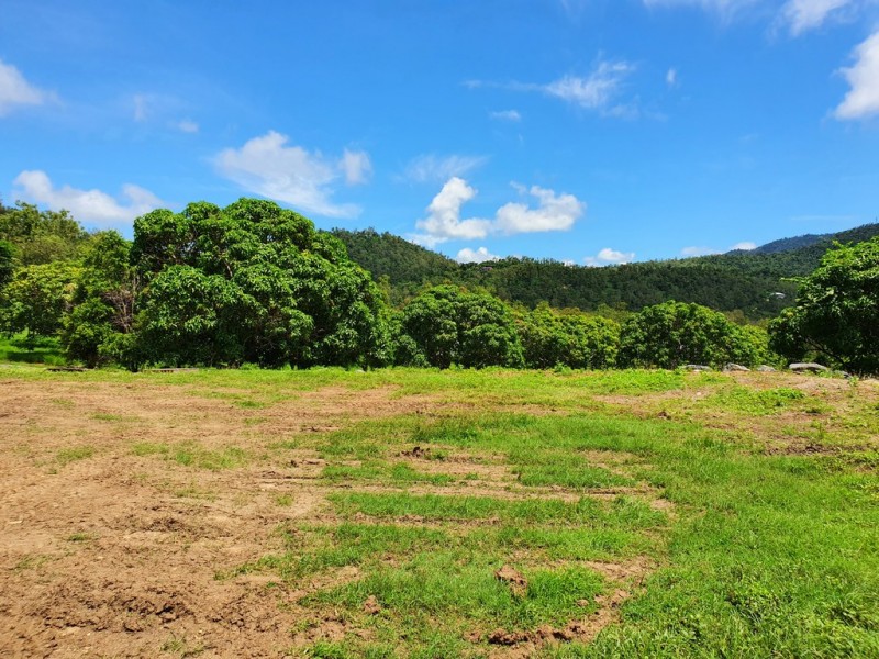 Lot 206 Pringle Road, Woodwark QLD 4802