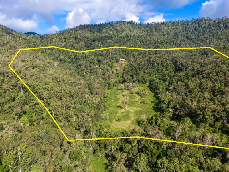 289 Forestry Road, Brandy Creek QLD 4800