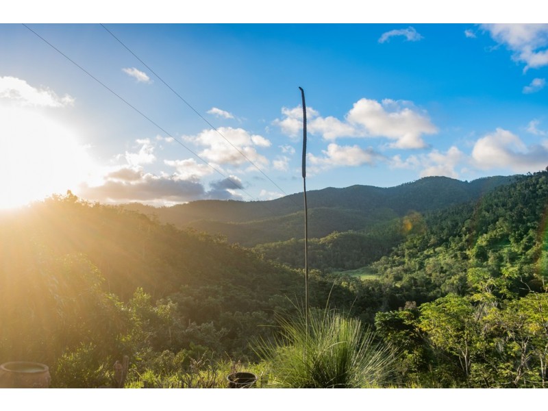 289 Forestry Road, Brandy Creek QLD 4800