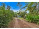 289 Forestry Road, Brandy Creek QLD 4800