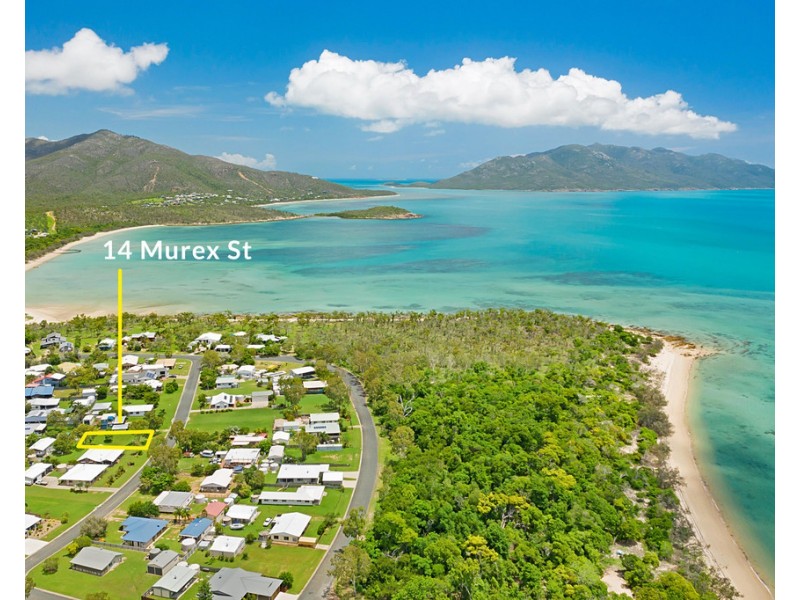 14 Murex Street, Dingo Beach QLD 4800