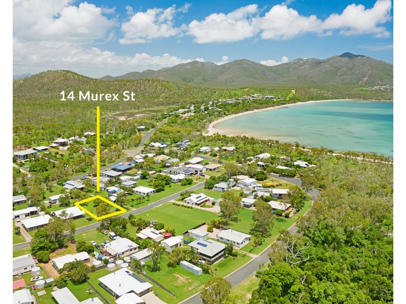 14 Murex Street, Dingo Beach QLD 4800