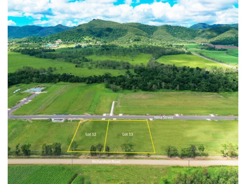Lot 12 and 13 Nina Street, Cannon Valley QLD 4800