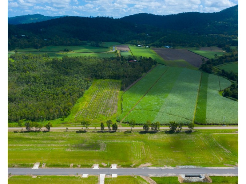 Lot 12 and 13 Nina Street, Cannon Valley QLD 4800