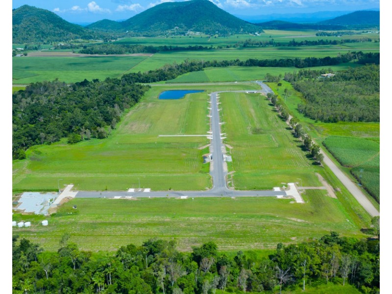 Lot 12 and 13 Nina Street, Cannon Valley QLD 4800