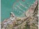 29/115 Shingley Drive, Airlie Beach QLD 4802