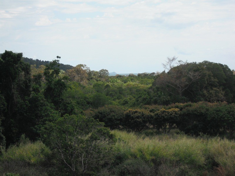 1/61 Jasinque Drive, Mandalay QLD 4802