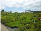 1697 Shute Habour Road, Cannonvale QLD 4802