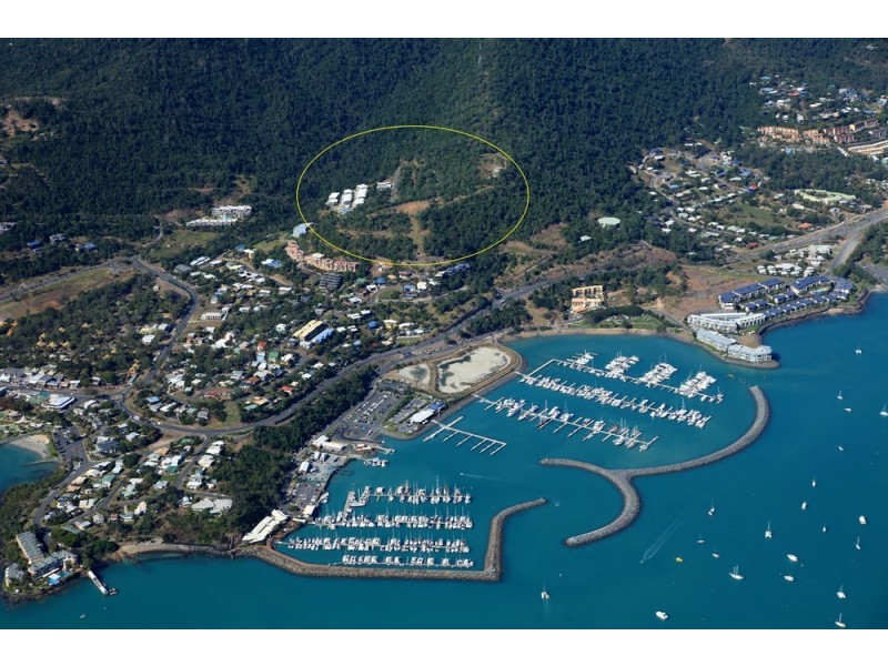 7 Flame Tree Crescent, Airlie Beach QLD 4802