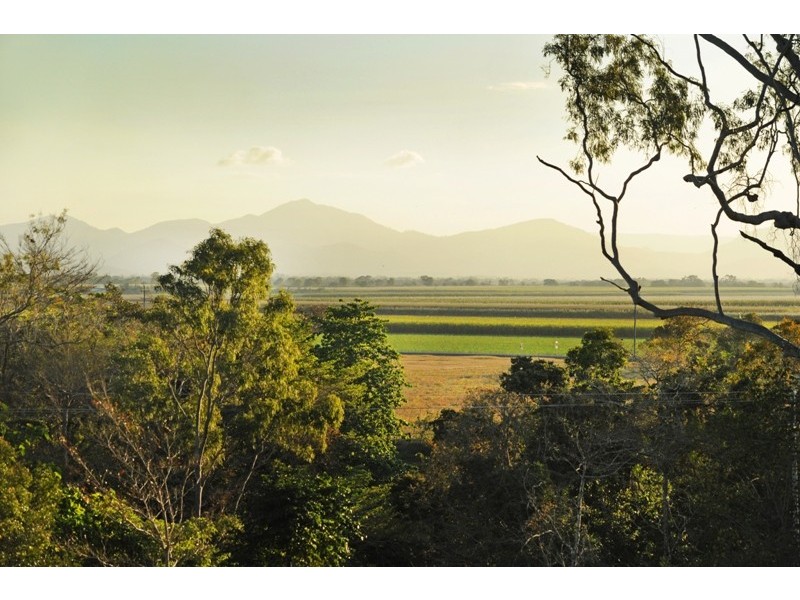 84 Tyree Road, Mount Julian QLD 4800