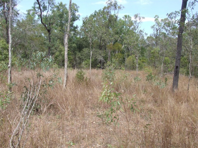Lot 11 Thorohgood Road, Kelsey Creek QLD 4800