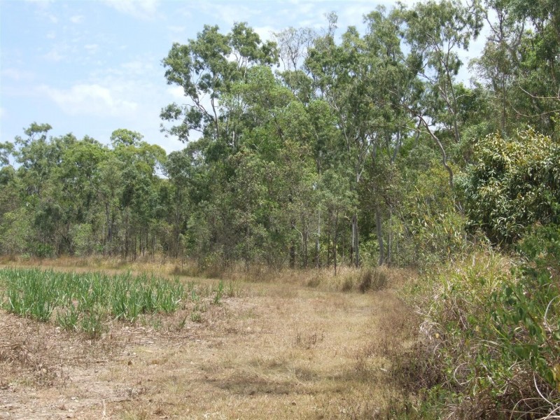 Lot 11 Thorohgood Road, Kelsey Creek QLD 4800