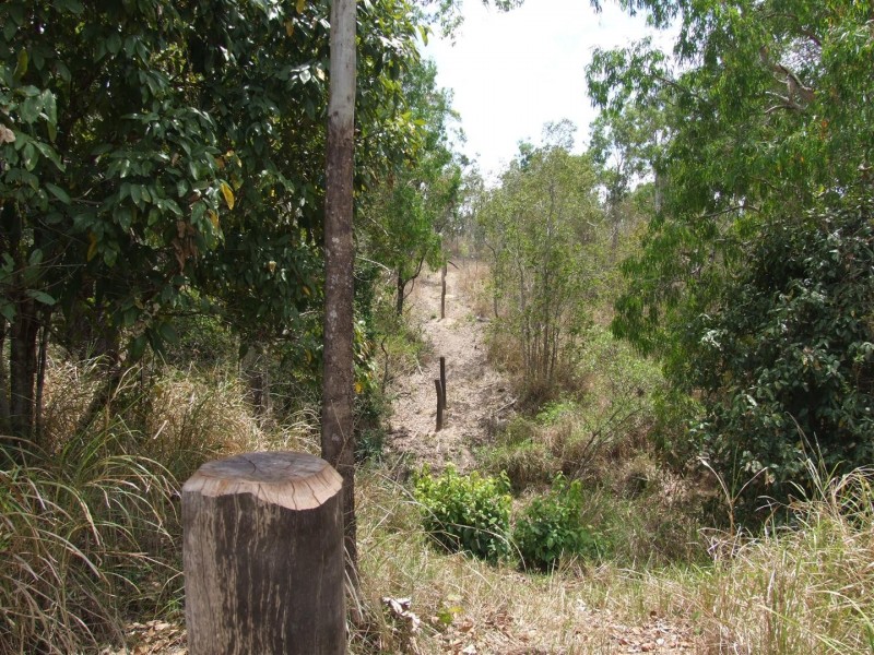 Lot 11 Thorohgood Road, Kelsey Creek QLD 4800