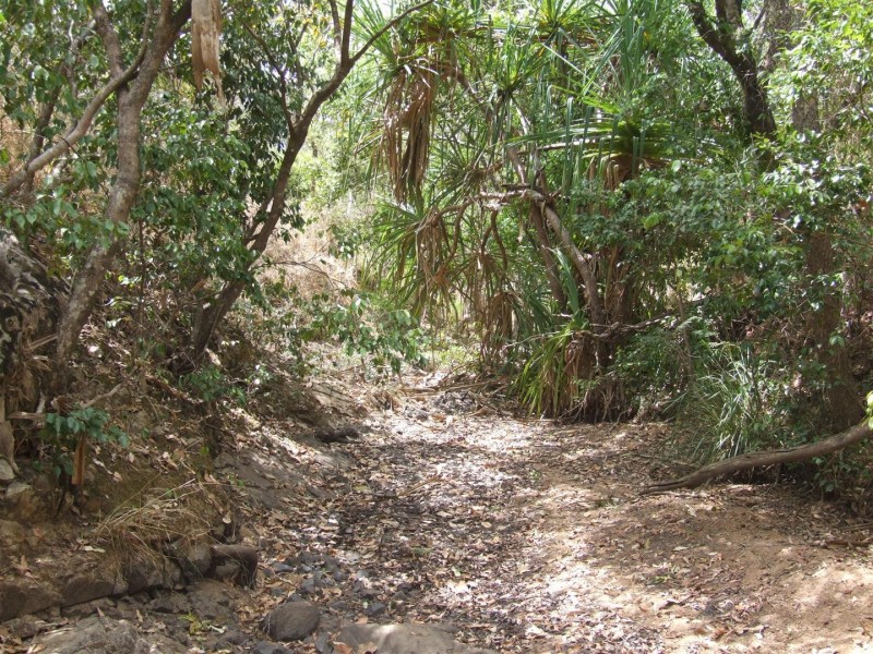 Lot 11 Thorohgood Road, Kelsey Creek QLD 4800