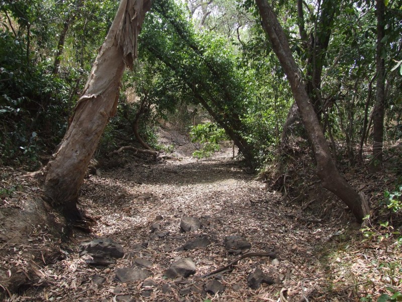 Lot 11 Thorohgood Road, Kelsey Creek QLD 4800